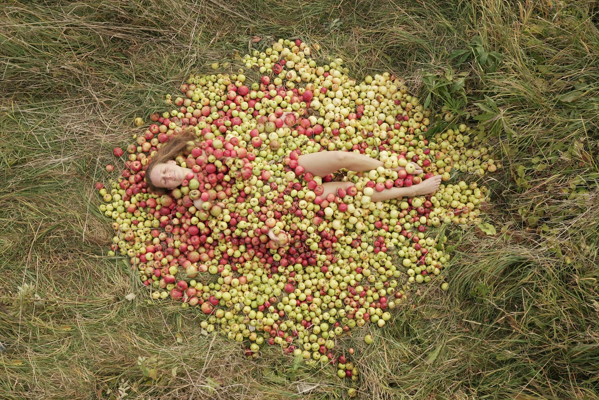 Kostenloses Stock Foto zu äpfel, außerorts, boden